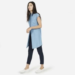 Everlane Demin Shirt Dress